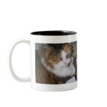 Dolly  the Cat Back Away Mug