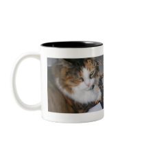 Dolly  the Cat Back Away Mug