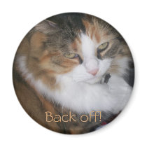 Dolly the Cat Back Off Magnet