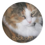 Dolly the Cat Back Off Stickers