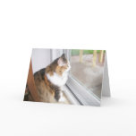 Dolly the Cat I Miss You Card