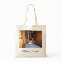Dolly  the Cat Pouting Bag