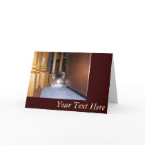 Dolly  the Cat Pouting Card