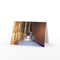 Dolly  the Cat Pouting Card