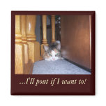 Dolly  the Cat Pouting Magnet