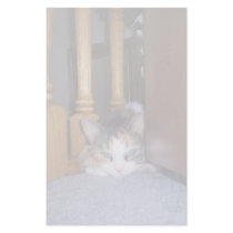 Dolly the Cat Pouting Stationery