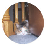 Dolly  the Cat Pouting Stickers