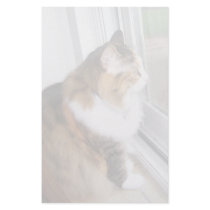 Dolly the Cat Stationery