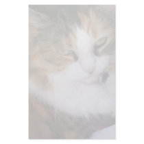 Dolly the Cat Stationery
