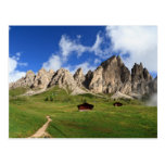 Dolomites - Cir group Post Cards
