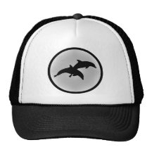DOLPHIIN THE HAZE MESH HATS