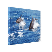 Dolphin Adventure Canvas Print