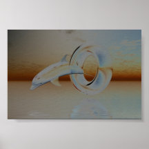 Dolphin Affiches