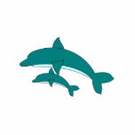 Dolphin And Baby