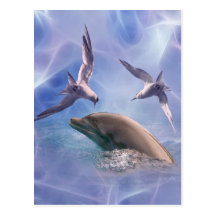 Dolphin and diving birds postcard