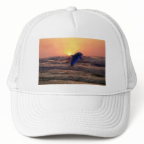 Dolphin at sunset hats