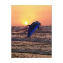 Dolphin at sunset postcard