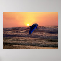 Dolphin at sunset print