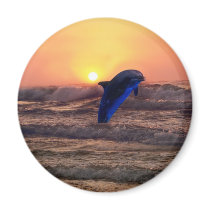 Dolphin at sunset refrigerator magnets