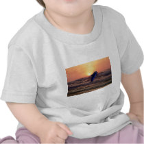 Dolphin at sunset tshirt