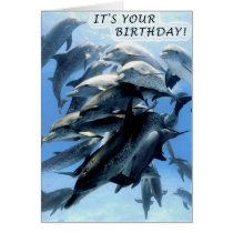 Dolphin birthday party cards