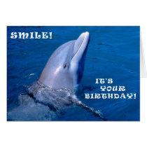 Dolphin birthday smile cards
