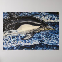 dolphin blue posters