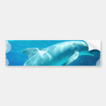 Dolphin Bubbles Bumper Sticker