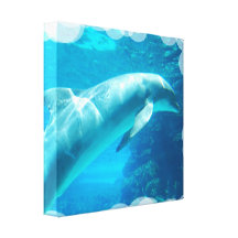 Dolphin Bubbles Canvas Print