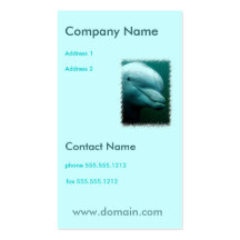 Dolphin Business Card