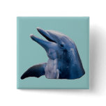 Dolphin Pinback Buttons