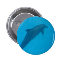 dolphin buttons