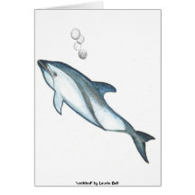 Dolphin Card