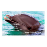 Dolphin Design Business Card