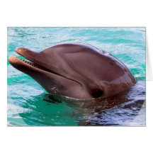 Dolphin Design Greeting Card