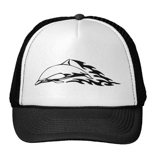 Dolphin designs hat