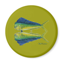 Dolphin,Dorado,MahiMahi with reflection