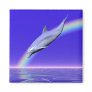 Dolphin Download Magnet