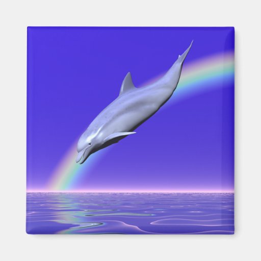 Dolphin Download Magnet