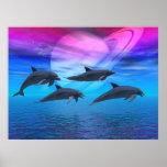 Dolphin Dreams posters
