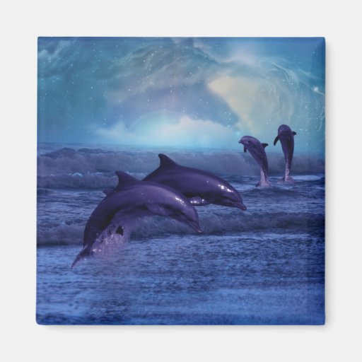 Dolphin fun and play magnet