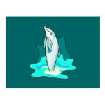 Dolphin Fun Post Card