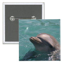 Dolphin Grinning  Button