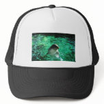 Dolphin Mesh Hats