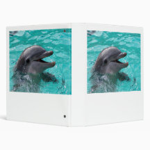 Dolphin head in aquamarine water binders