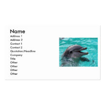 Dolphin head in aquamarine water business cards