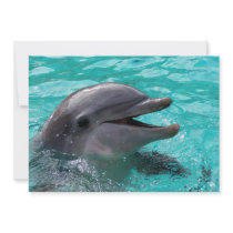 Dolphin head in aquamarine water custom invites