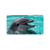 Dolphin head in aquamarine water custom address label