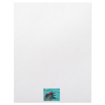 Dolphin head in aquamarine water letterhead