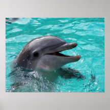 Dolphin head in aquamarine water print
